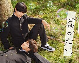 真实精品酒店偷拍拍在线